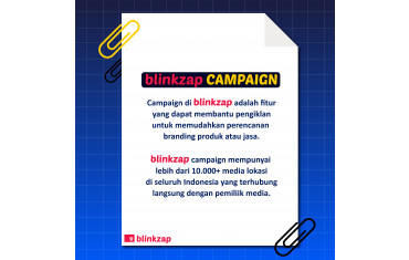 blinkzap campaign