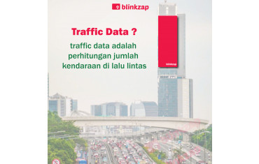 blinkzap traffic