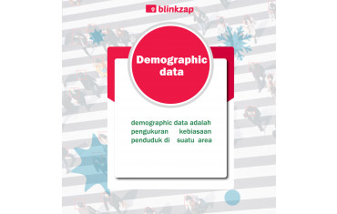demographic blinkzap